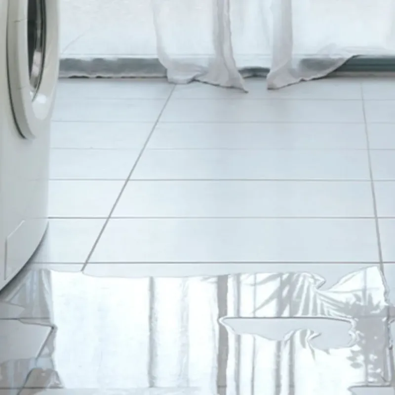 Appliance Leak Cleanup in Clearwater, SC
