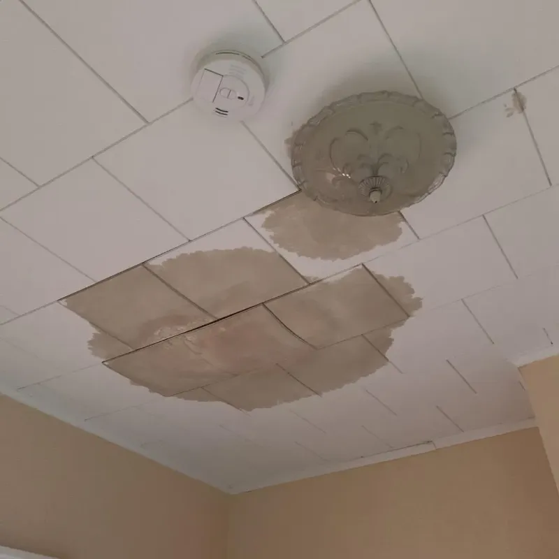 Ceiling Water Damage Repair in Clearwater, SC